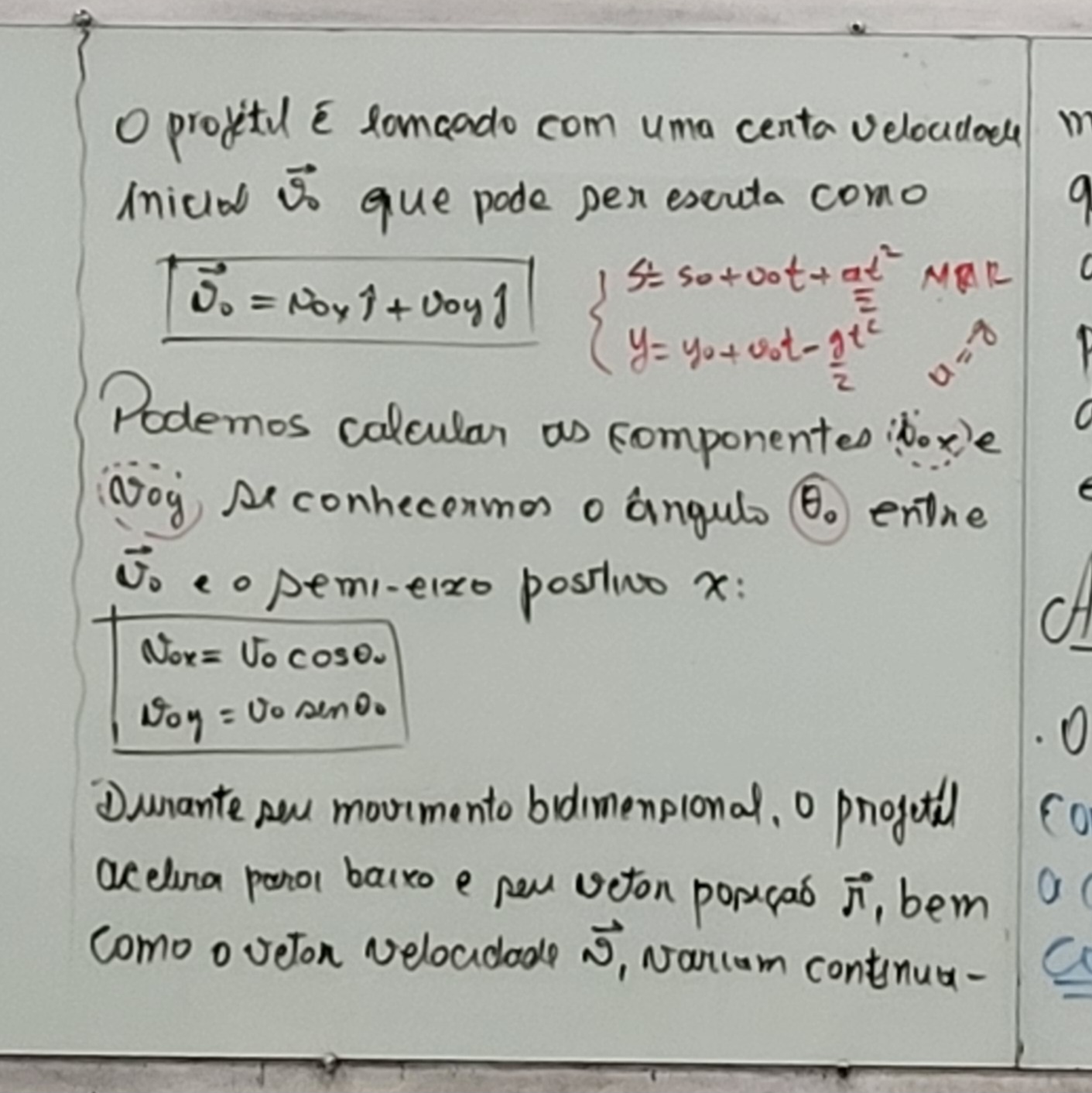 20260511_194910.jpg